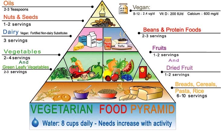 Piramida dietei vegetariene