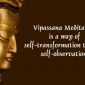 TEDx – Meditația Vipassana – conștientizarea senzațiilor corpului