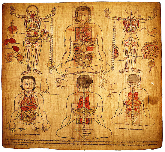 Medicina tibetană despre varice