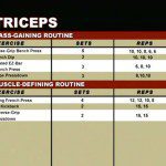 Brate - Triceps - Program